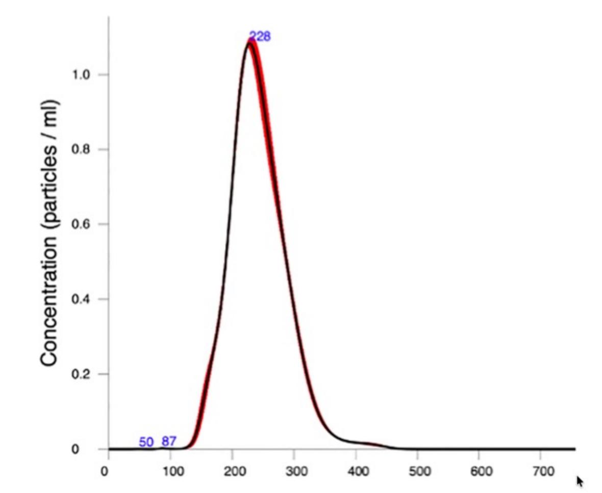 NTA particle size distribution